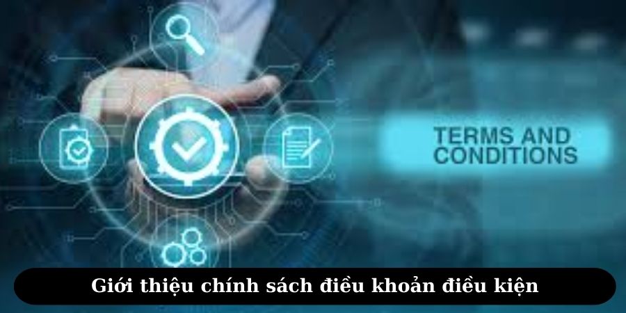 Giới thiệu về điều khoản điều kiện Nova88 đến khách hàng