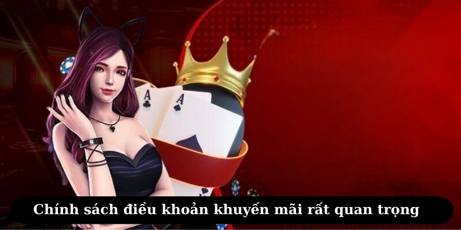 Chính sách điều khoản khuyến mãi rất quan trọng