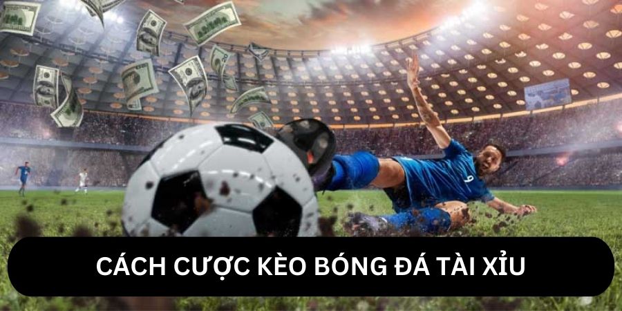 Cách cược kèo bóng đá tài xỉu luôn thắng