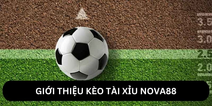 Giới thiệu kèo tài xỉu